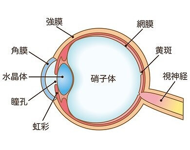 糖尿病網膜症の原因は？